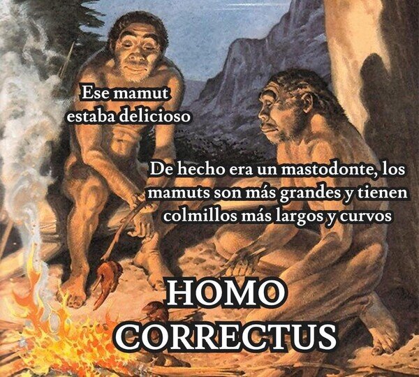 CC_2824853_7b2a3223612c400486812fb277c75db9_otros_homo_correctus.jpg
