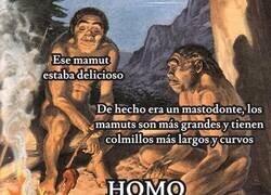 Enlace a Homo Correctus