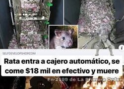 Enlace a La rata Joker