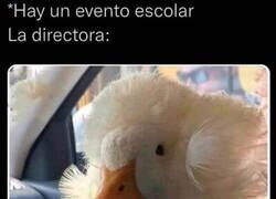 Enlace a Peinado universal de directora