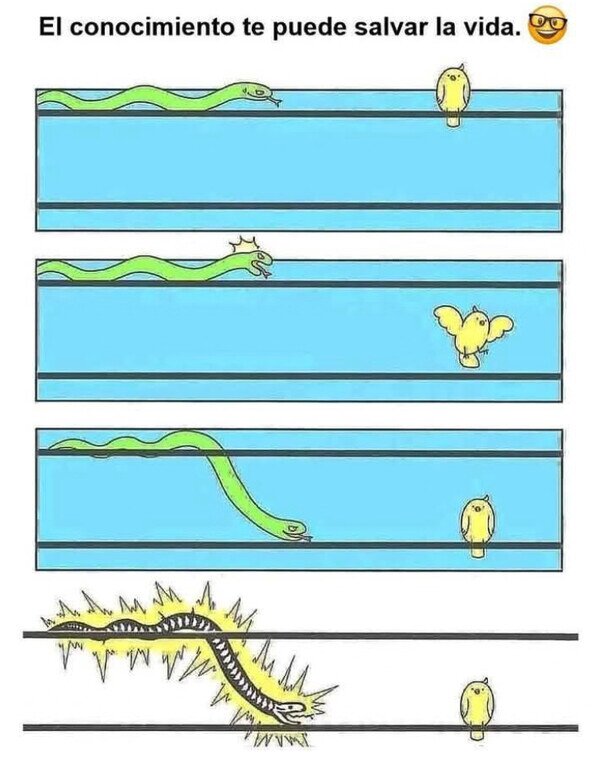 CC_2824876_b439b653deca4afaaaeff8d7e6e4795f_meme_otros_el_saber_salva_vidas.jpg
