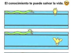 Enlace a El saber salva vidas