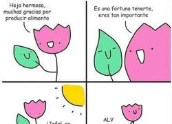 Enlace a Lo primero que dejan caer
