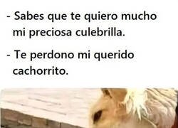 Enlace a Que bonitas son las reconciliaciones