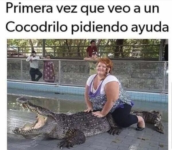 CC_2825034_583cbc0f9a1e4c6bb25ad0ab7b35d27f_otros_cocodrilo_en_apuros.jpg