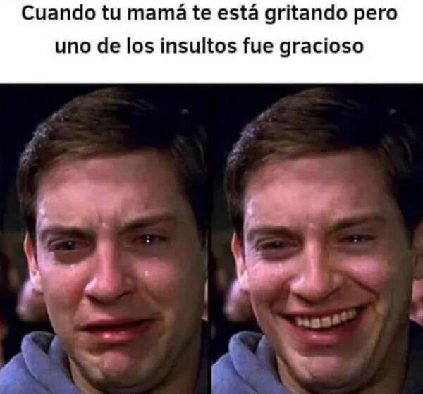 Meme_otros - No lo pude evitar