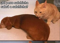 Enlace a Siempre tuve esa duda