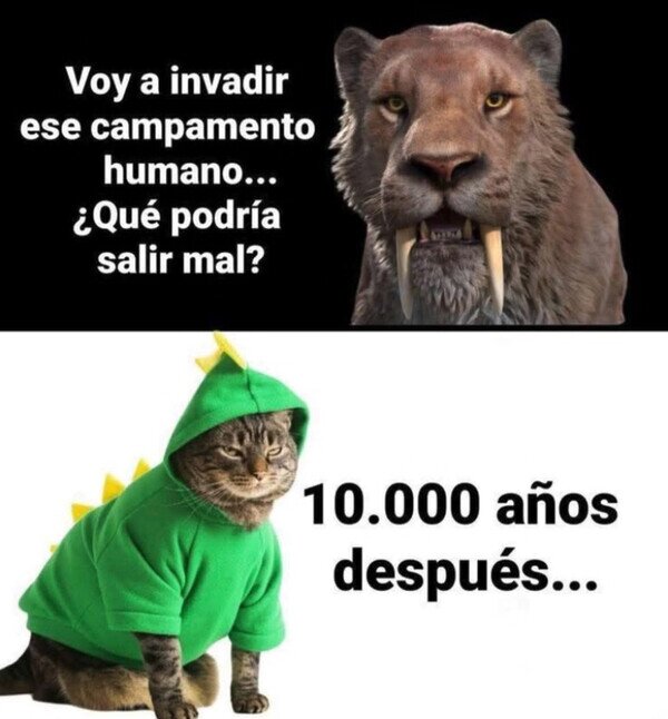 Meme_otros - Una especie venida a menos