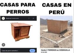 Enlace a No sé cual es más habitable