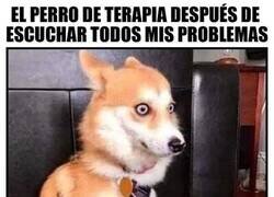 Enlace a Ahora la terapia la necesita él