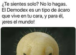 Enlace a No te sientas solo