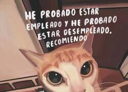 Enlace a Mi más sincera recomendación