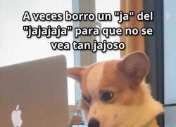 Enlace a Sí, así soy