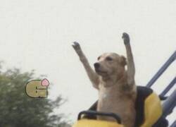 Enlace a Voy para allí