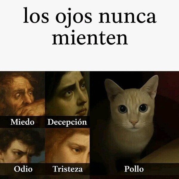 CC_2825341_108ca63bef234ed4b99faef48234f9b6_meme_otros_los_ojos_nunca_mienten.jpg