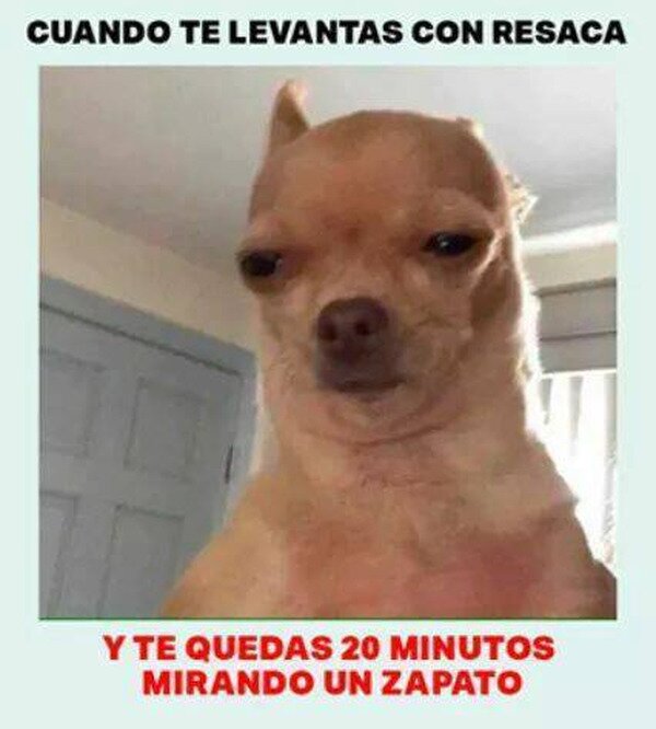 CC_2825344_49c94ed59aa048109dc9e19dc4f6955f_meme_otros_esos_20_minutos_de_pausa.jpg