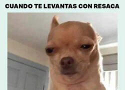 Enlace a Esos 20 minutos de pausa