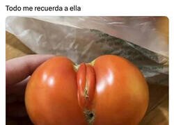 Enlace a El totomate