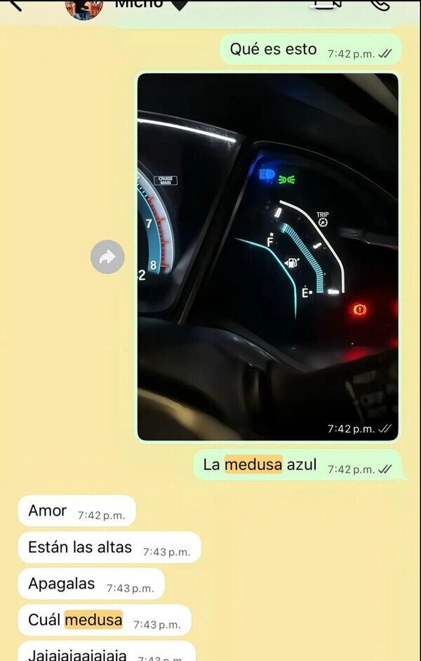 Otros - ¿Cómo que 'medusa azul'?