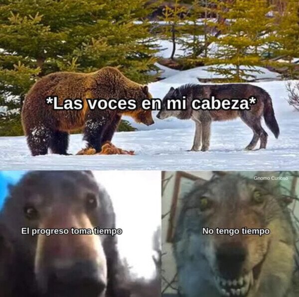 Otros - Discuten entre ellas