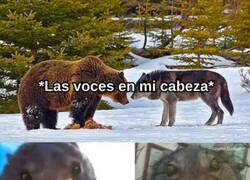 Enlace a Discuten entre ellas