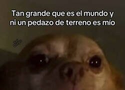 Enlace a No tengo donde caerme muerto