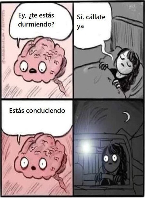 Meme_otros - Precaución al volante
