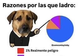 Enlace a Mi perro hizo un gráfico