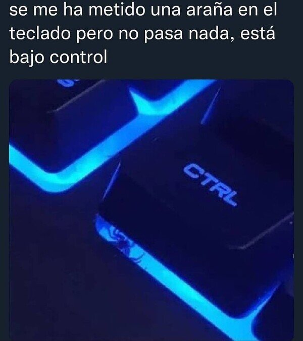 CC_2825956_077bc89bfd014dab9c3c2506ef969c51_otros_una_arana_en_el_teclado.jpg