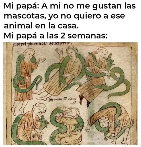 Meme_otros - El que menos quiere, es el que más se encariña