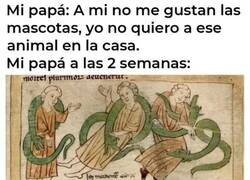 Enlace a El que menos quiere, es el que más se encariña