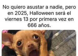 Enlace a Demasiadas casualidades