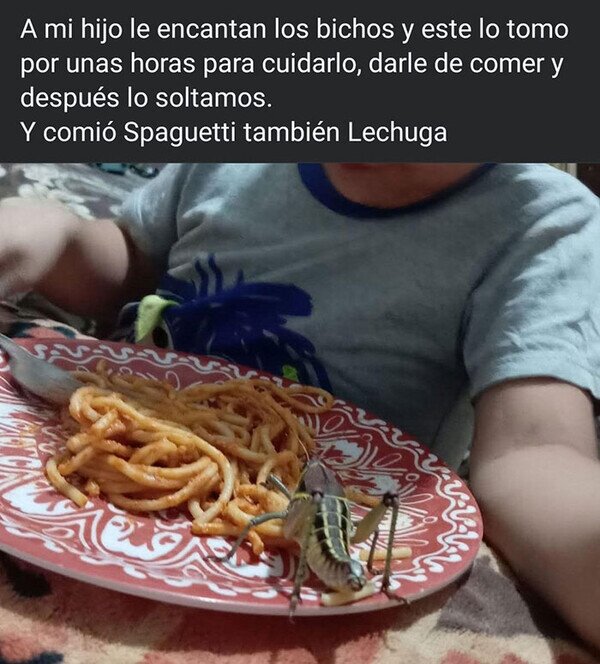 Meme_otros - Yo le prendería fuego a ese plato de spaguettis