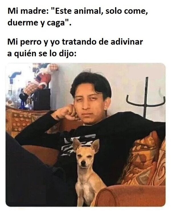 CC_2826173_7b57212b406c45dab09fe588dce17d49_meme_otros_por_quien_lo_dira.jpg