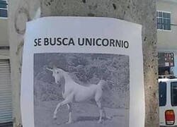 Enlace a Si lo ves, deja las drogas