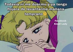 Enlace a Flojera preventiva