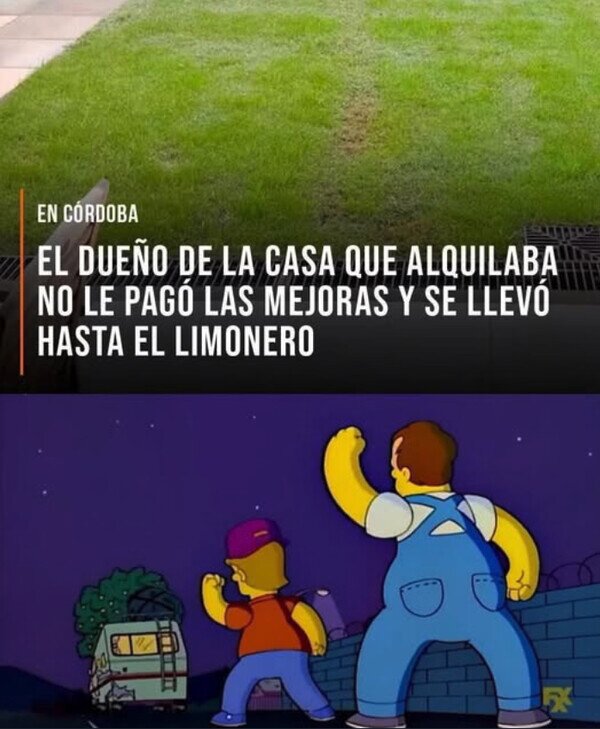 Meme_otros - Los Simpson no se cansan de predecir
