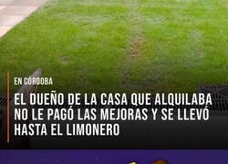 Enlace a Los Simpson no se cansan de predecir