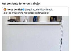 Enlace a El gato que experimentó trabajar