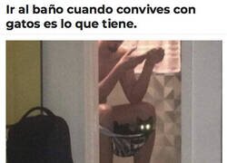 Enlace a Se acomodan donde pueden