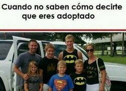 Enlace a La oveja negra de la familia