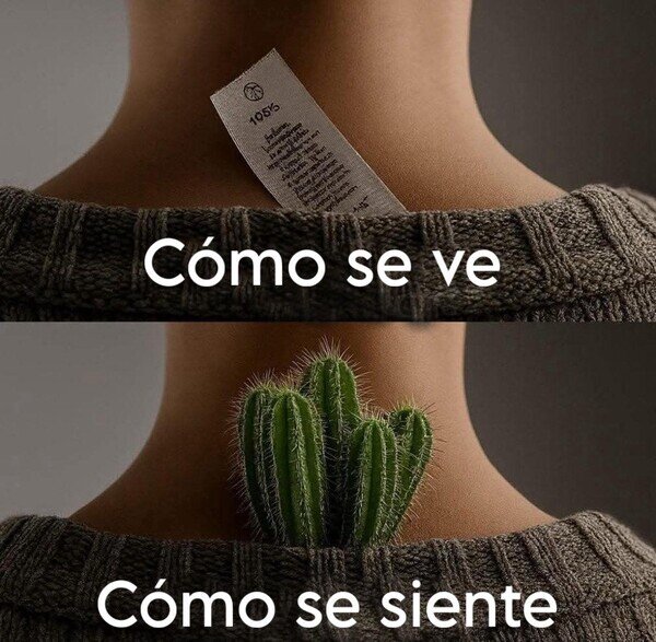 Meme_otros - Es como tener un cactus ahí detrás