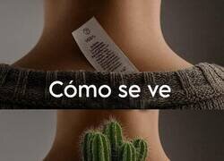 Enlace a Es como tener un cactus ahí detrás