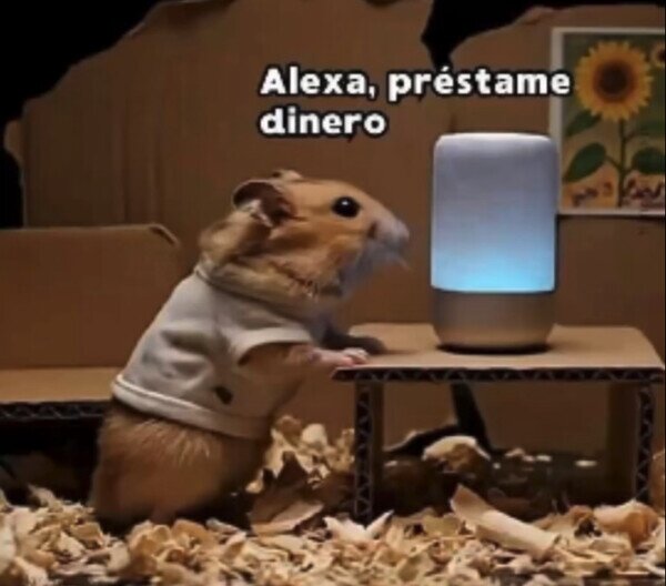 Otros - No funciona así