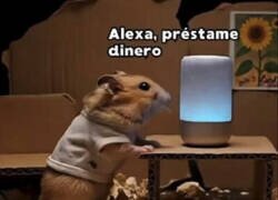 Enlace a No funciona así