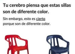 Enlace a Increíble lo que puede hacer el cerebro