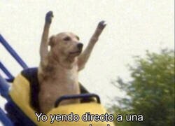 Enlace a ¡Allá que voy!