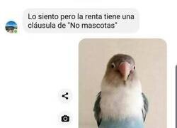 Enlace a Se merecía la excepción