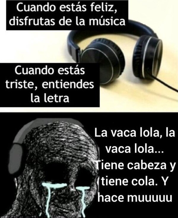 CC_2826515_71b8e719d084405abd41013026f49883_meme_otros_la_musica_segun_tu_estado_de_animo.jpg