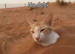 Enlace a Pésima decisión